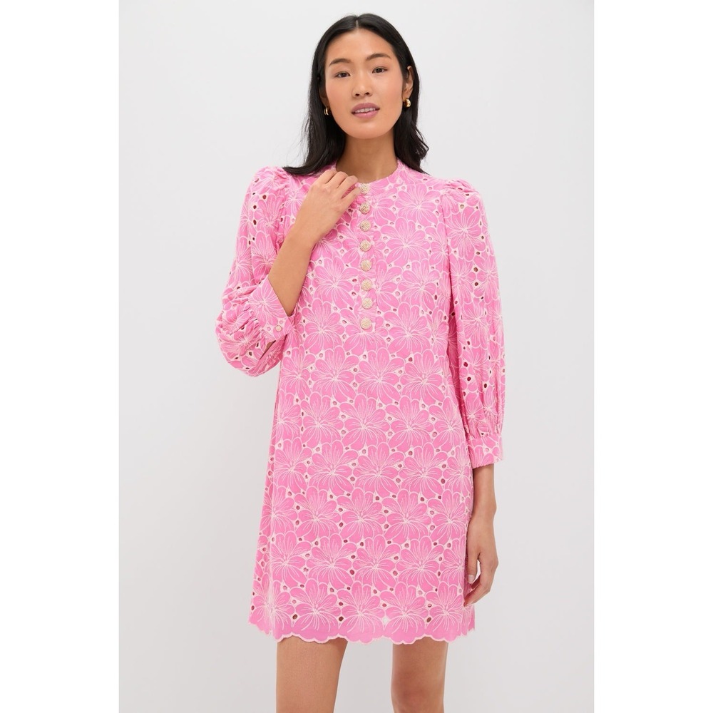 Pomander Place Tuckernuck Samantha Dress Large Pink Floral Eyelet Feminine NWT